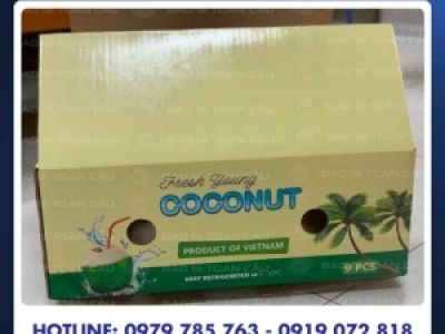 Lựa chọn dịch vụ sản xuất in thùng dừa chất lượng uy tín cho doanh nghiệp