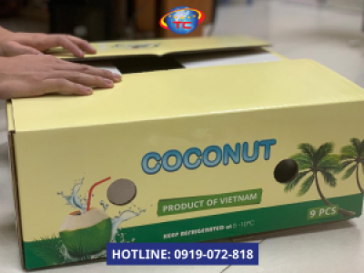 Sản xuất thùng carton đựng dừa xuất khẩu uy tín tại Tp.HCM
