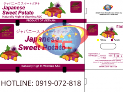 Thùng carton đựng khoai lang giá rẻ, chất lượng tại TP.HCM