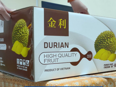 Vì sao thùng carton đựng sầu riêng xuất khẩu cần lỗ thoáng khí và giấy dày 5–7 lớp?