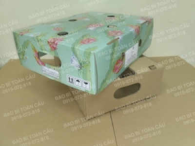 Nơi thiết kế bao bì thùng thanh long TPHCM chuyên nghiệp