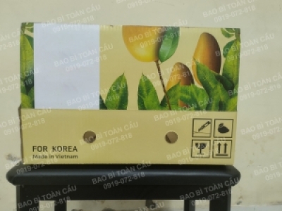 Nhận thiết kế in ấn bao bì thùng xoài xuất khẩu rẻ, đẹp, tại TPHCM