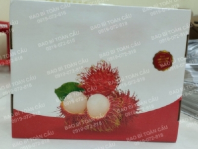 Tìm kiếm công ty thiết kế in thùng chôm chôm xuất khẩu uy tín