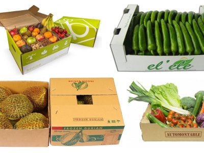 Tại Sao Doanh Nghiệp Nên Hợp Tác Trực Tiếp Với Xưởng Sản Xuất Bao Bì?