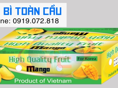 Thùng xoài tết xuất khẩu: Lựa chọn quà biếu tinh tế và đẳng cấp