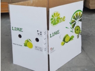 SẢN XUẤT THÙNG CARTON ĐỰNG TRÁI CÂY THEO YÊU CẦU