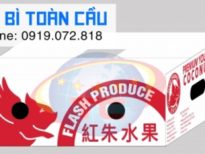 IN THÙNG CARTON ĐỰNG TRÁI DỪA XUẤT KHẨU