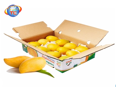 Tìm Hiểu Nơi Chuyên Sản Xuất Thùng Xoài Xuất Khẩu