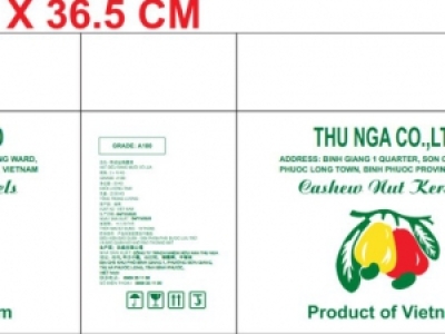 IN HỘP GIẤY ĐỰNG HẠT ĐIỀU