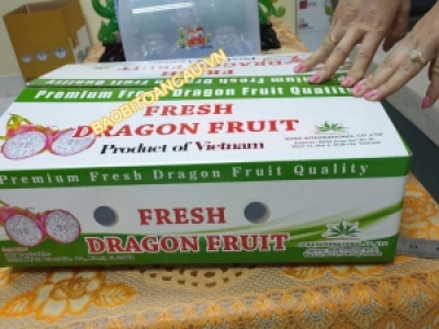 SẢN XUẤT THÙNG CARTON THÔNG DỤNG