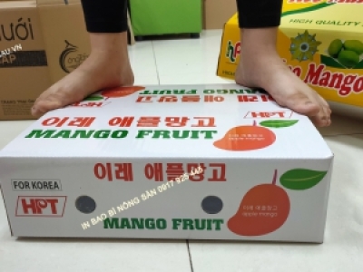 MẪU BAO BÌ NÔNG SẢN ĐỰNG RAU QUẢ XUẤT KHẨU