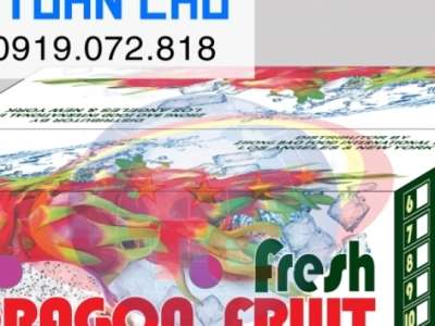 Xu Hướng Bao Bì Bền Vững Cho Nông Sản Xuất Khẩu