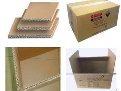 Mách bạn cách chọn thùng carton đựng xoài Tết xuất khẩu vừa đẹp mắt vừa tối ưu chi phí