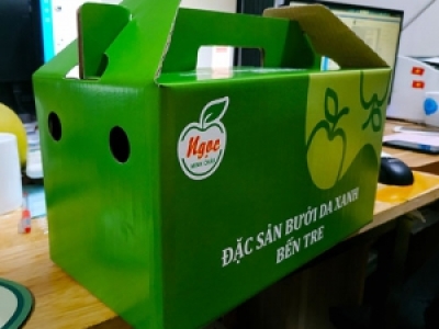 IN HỘP CARTON ĐỰNG HOA QUẢ