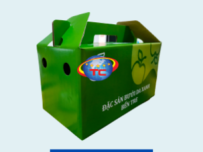 Thùng carton đựng bưởi da xanh cao cấp, giá ưu đãi