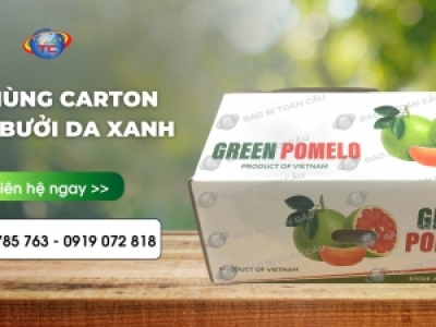 Thùng carton đựng bưởi da xanh chất lượng, giá rẻ