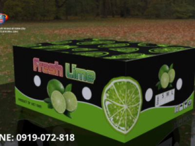 Thùng carton đựng chanh giá rẻ, chất lượng tại TP.HCM