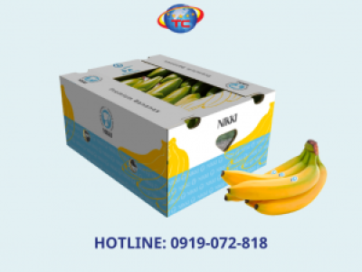 Thùng carton đựng chuối giá rẻ tại Củ Chi