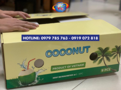 Thùng carton đựng dừa tươi xuất khẩu