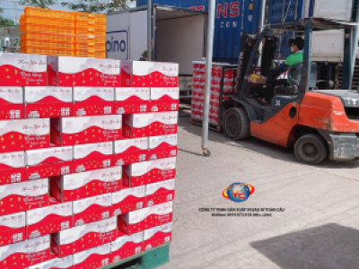 In thùng carton đựng nước yến sào mọi kích thước, giá rẻ