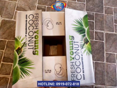 Thùng carton đựng trái dừa tươi đạt chuẩn chất lượng tại Củ Chi