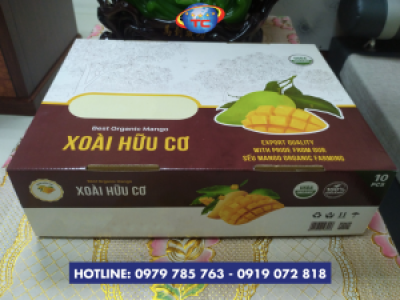 Thùng carton đựng xoài đa dạng mẫu mã, giá tốt ở Củ Chi