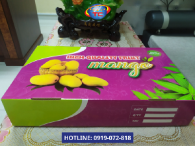 Thùng carton đựng xoài giá gốc tại xưởng ở Củ Chi