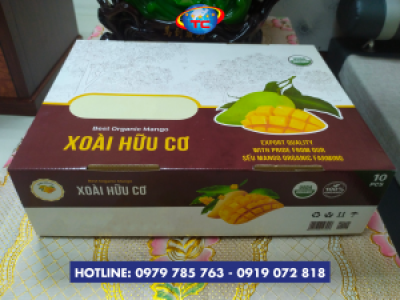Thùng carton đựng xoài mẫu mã đẹp, giá tốt tại Củ Chi 