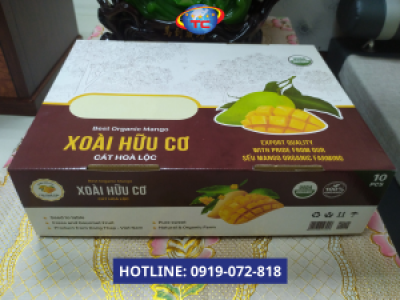 Thùng carton đựng xoài xuất khẩu
