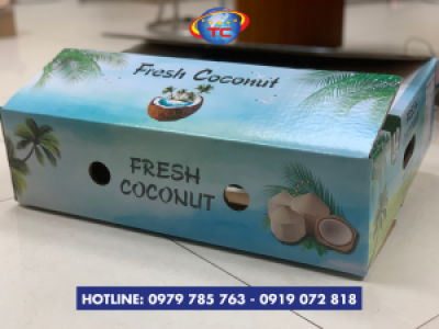 Thùng đựng dừa xuất khẩu chất lượng, giá rẻ tại Củ Chi