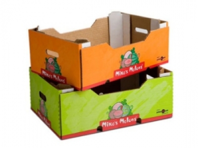 THIẾT KẾ THÙNG CARTON ĐỰNG TRÁI CÂY HOA QUẢ