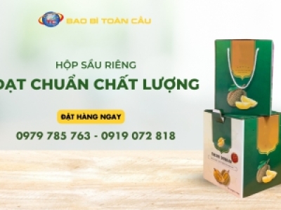 Tiêu chí hộp đựng sầu riêng tách múi đạt chuẩn