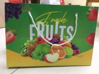 IN TÚI GIẤY ĐỰNG HOA QUẢ