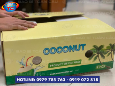 Xưởng in thùng carton đựng dừa uy tín, giá rẻ ở Củ Chi