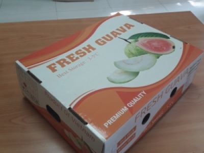 IN THÙNG CARTON ĐỰNG ỔI