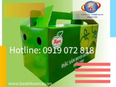 IN THÙNG CARTON ĐỰNG BƯỞI DA XANH