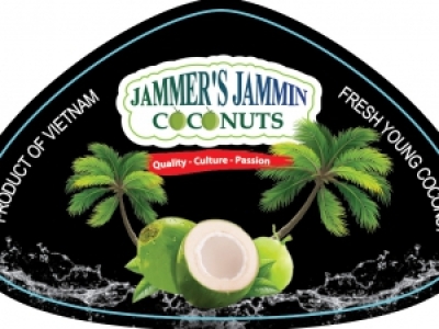 TÌM CÔNG TY IN DECAL