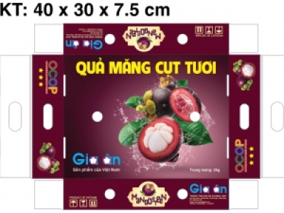 IN THÙNG MĂNG CỤT UY TÍN