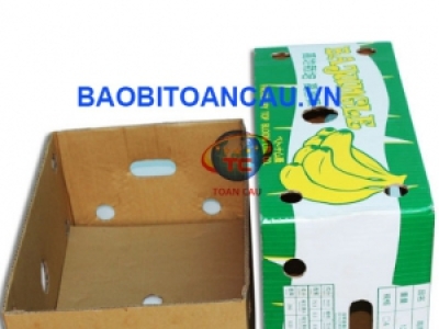 SẢN XUẤT THÙNG CARTON ĐỰNG CHUỐI XUẤT KHẨU