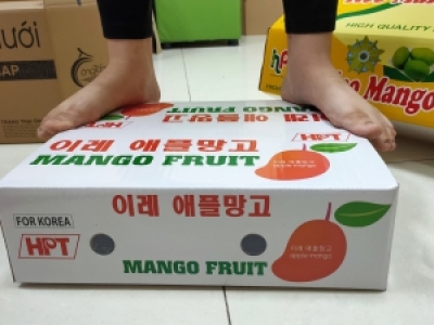 THÙNG CARTON ĐỰNG TRÁI CÂY XUẤT KHẨU CHỐNG THẤM NƯỚC
