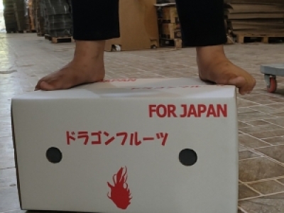  ƯU ĐIỂM THÙNG CARTON TRẮNG