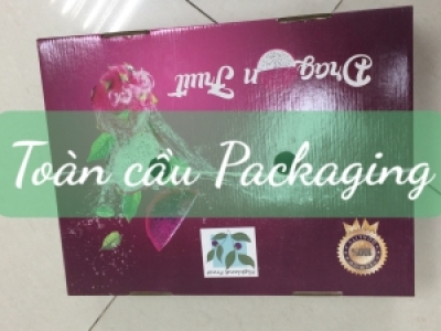 THÙNG CARTON ĐỰNG TRÁI CÂY XUẤT KHẨU AN TOÀN
