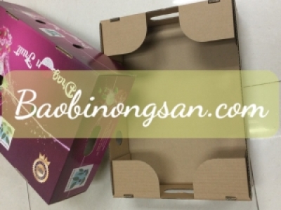 TIÊU CHUẨN THÙNG CARTON ĐỰNG TRÁI CÂY