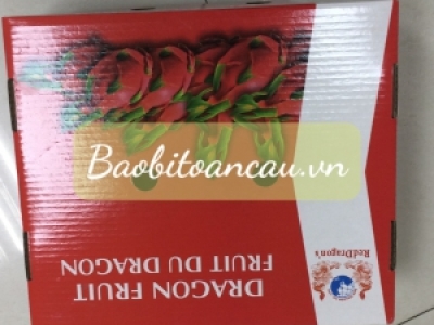THÙNG CARTON ĐỰNG NÔNG SẢN XUẤT KHẨU ĐẾN TỪNG NƯỚC