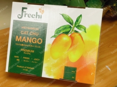 Thùng Xoài Xuất Khẩu Chất Lượng Tốt - Giá Rẻ Tại Củ Chi