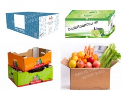 Tiêu chuẩn thiết kế bao bì carton đóng hàng xuất khẩu theo ngành hàng