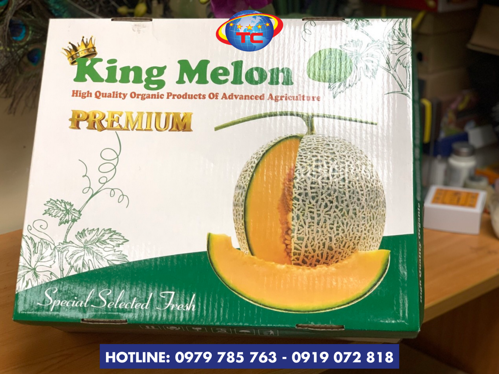 thùng đựng dưa lưới đa dạng, từ hộp đựng 1 trái, 2 trái 3
