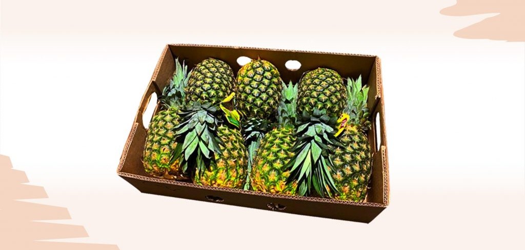 Sản xuất thùng, khay đựng dứa xuất khẩu