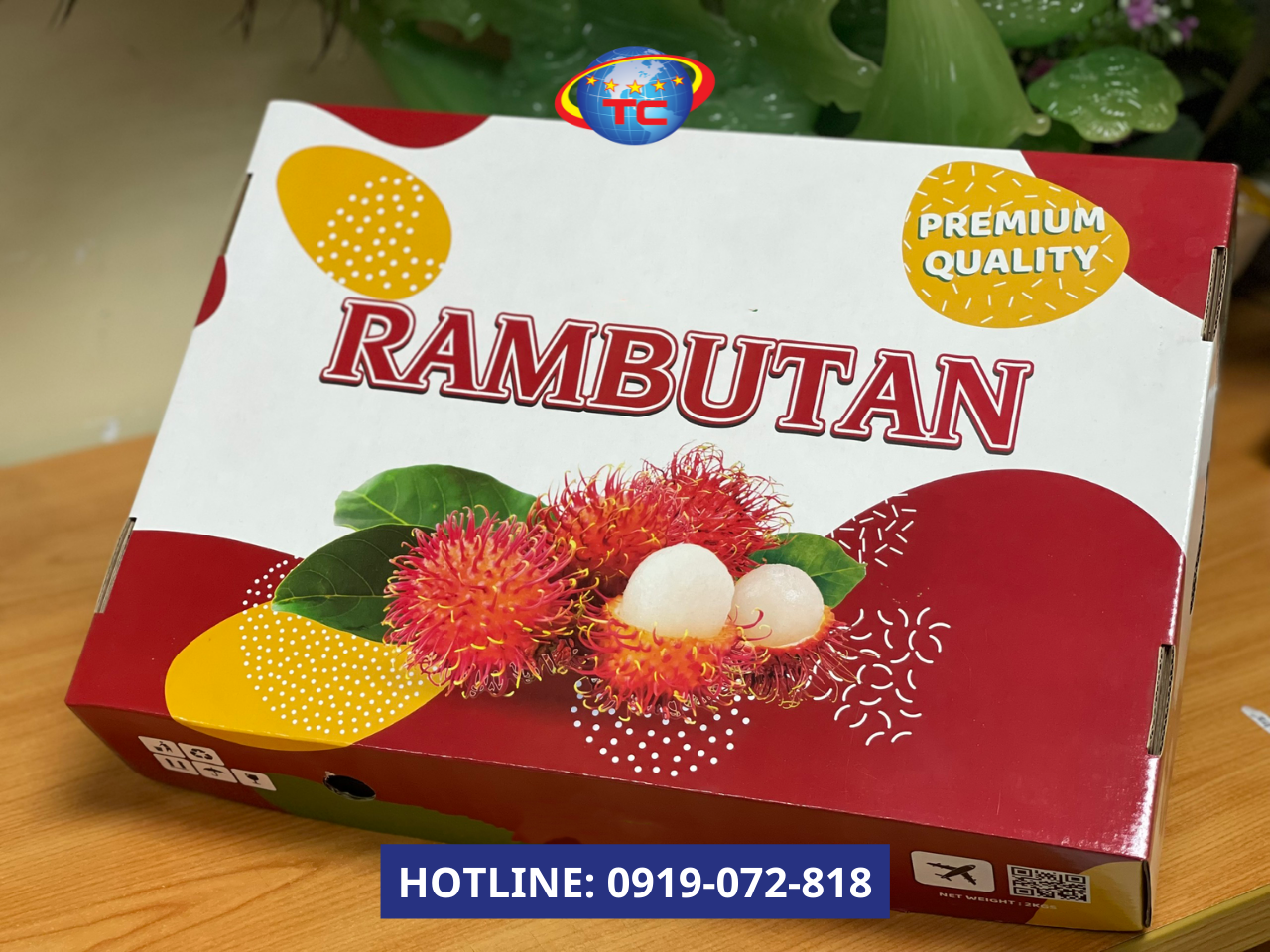 thung-chom-chom-gia-tot-tai-xuong