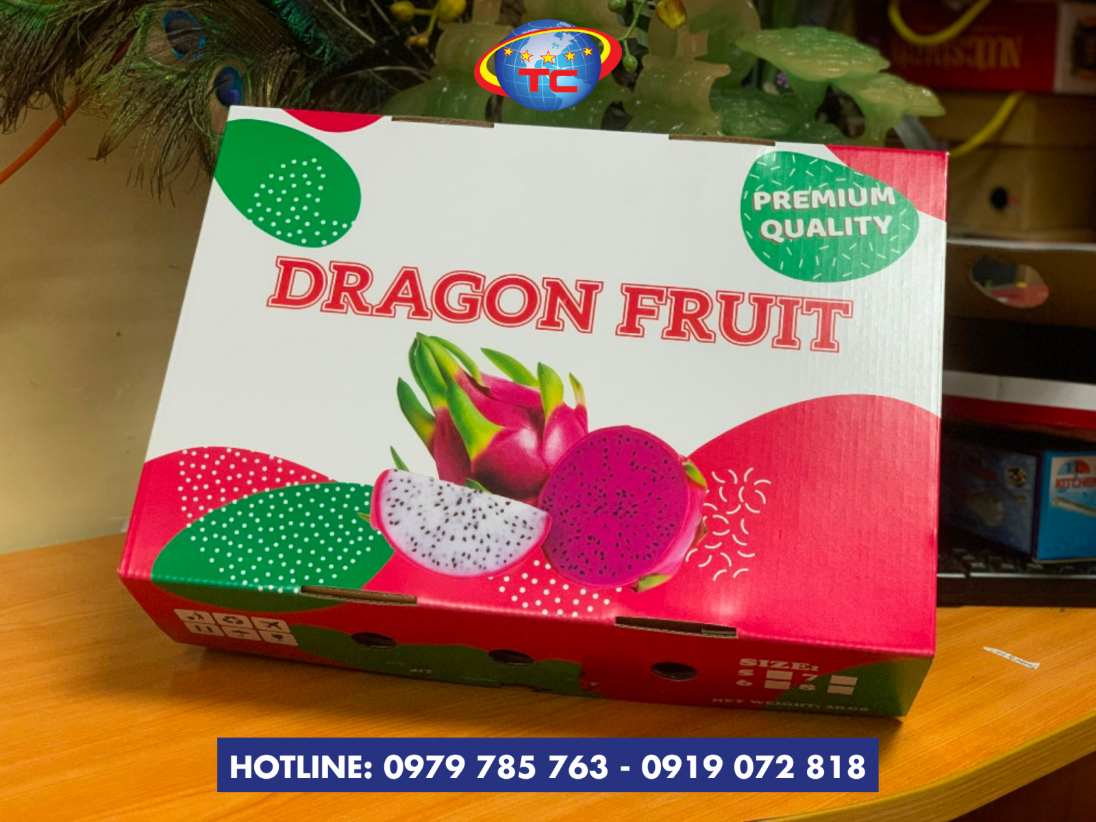 thung-thanh-long-xuat-khau